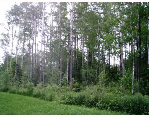 Land/Lot. Partially wooded/open and...