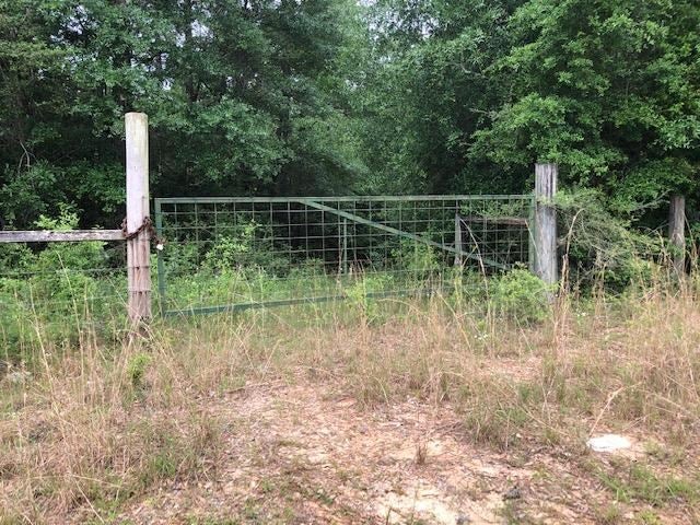 150-ac McDaniel Road Opp, AL 36467 - Photo 3 of 23 Gallery Image 3