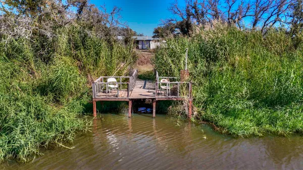 a view of a forest with trees