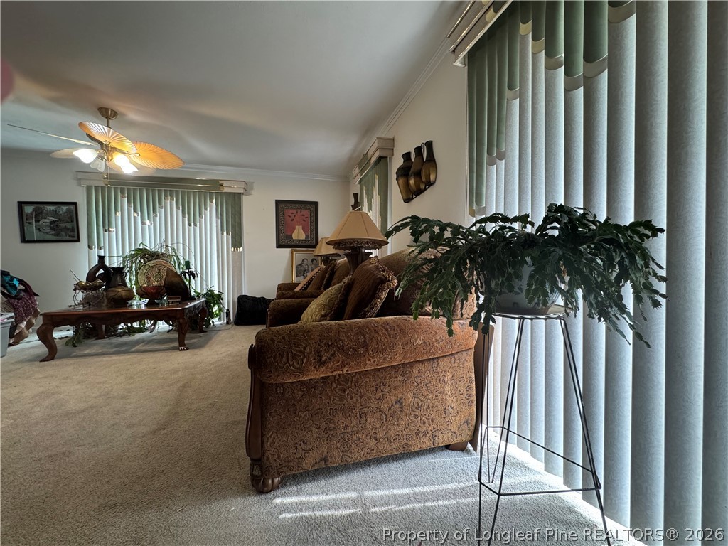 408 Old Farm Road Raeford, NC 28376 - Photo 19 of 27 a living room with furniture and a potted plant