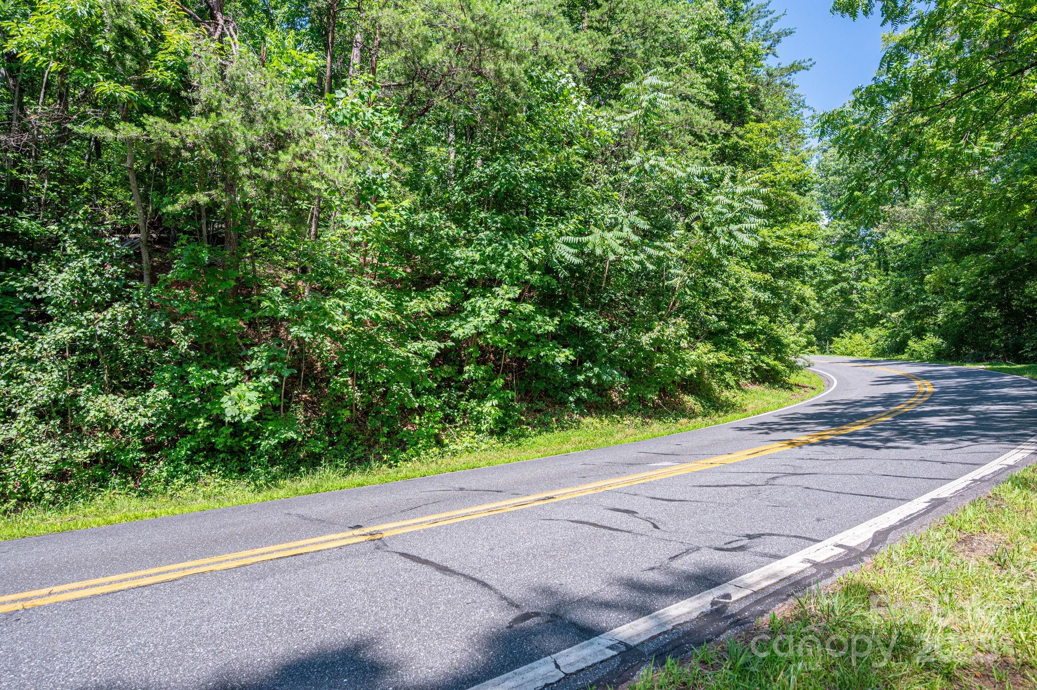 Lot #69 Cleghorn Mill Road Rutherfordton, NC 28139 - Photo 3 of 26