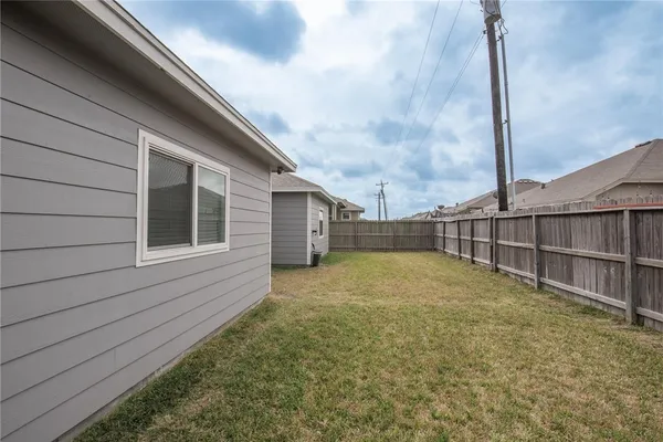 a view of backyard and tree