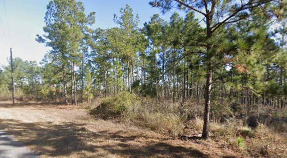 0 Corps Airport Road Bainbridge, GA 39819 - Photo 5 of 13 0 Corps Airport Rd - road view 2