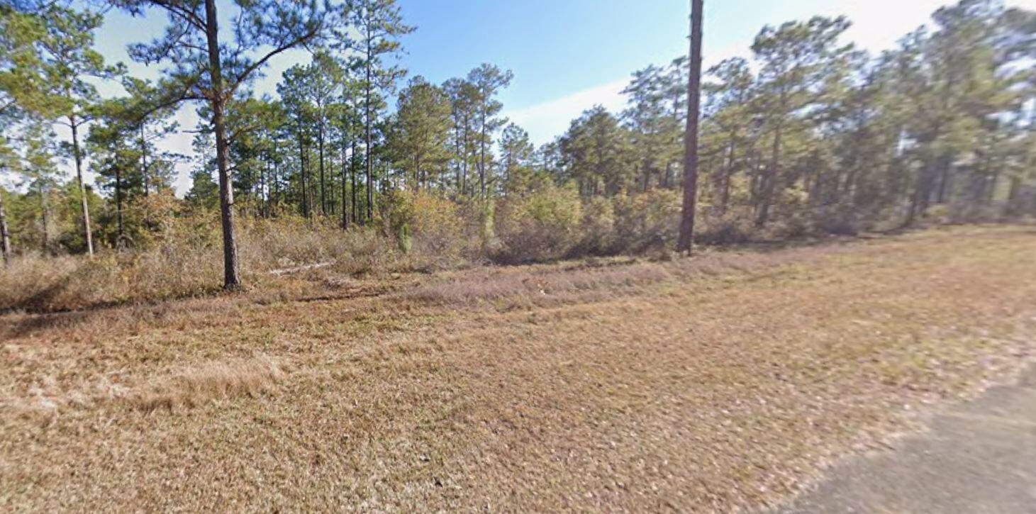 0 Corps Airport Road Bainbridge, GA 39819 - Photo 6 of 13 0 Corps Airport Rd - road view 1