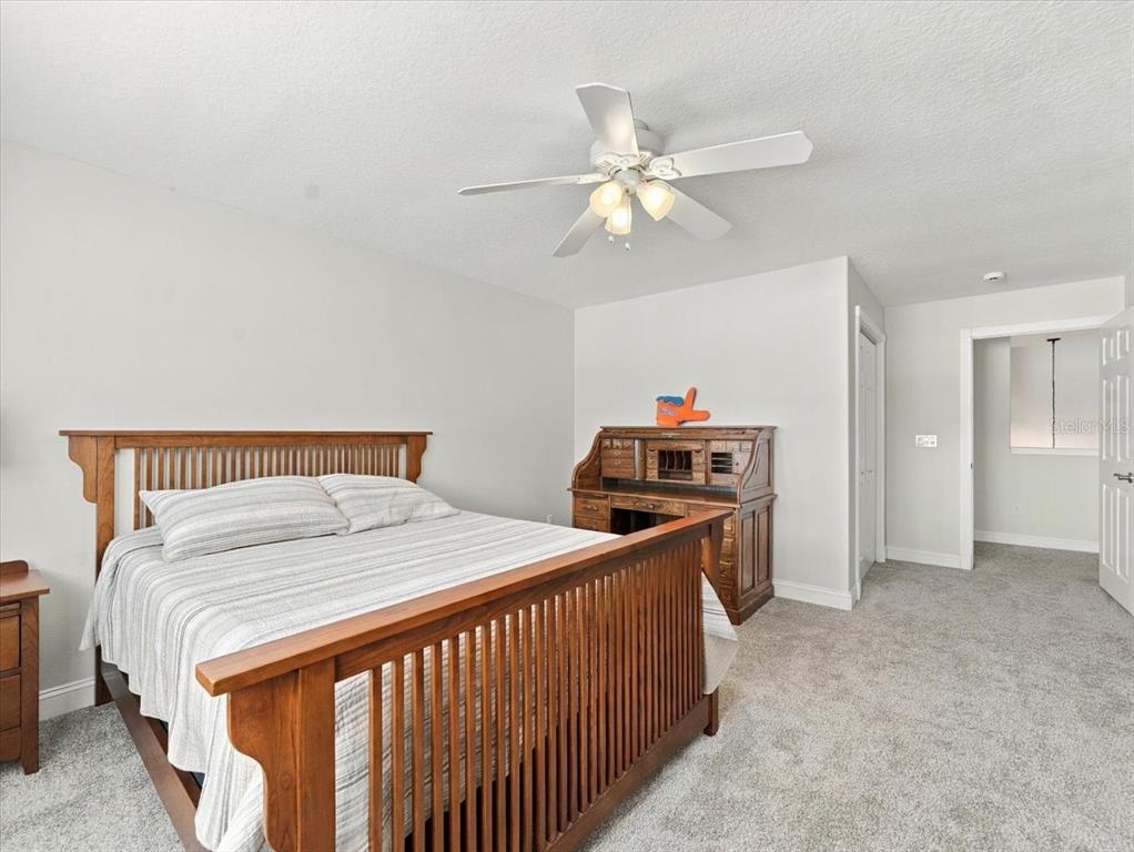 18829 Geraci Road Lutz, FL 33548 - Photo 58 of 77 Gallery Image 58