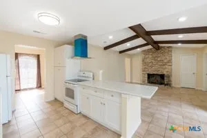 a kitchen with a sink and a fireplace