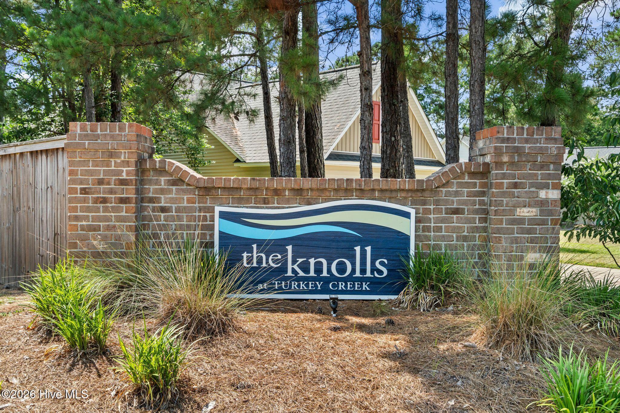 116 Sadie Way Rocky Point, NC 28457 - Photo 42 of 52