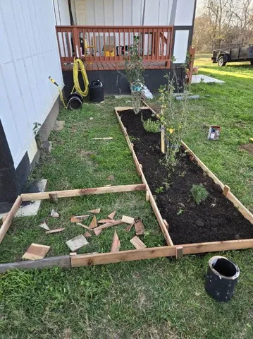 a view of a backyard with large trees
