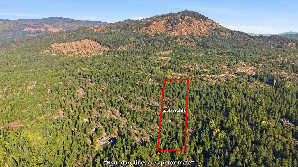 151 Shale Road Newport, WA 99156 - Photo 37 of 37 Gallery Image 37