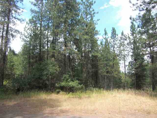 42 Cline Road Kettle Falls, WA 99141 - Photo 2 of 9