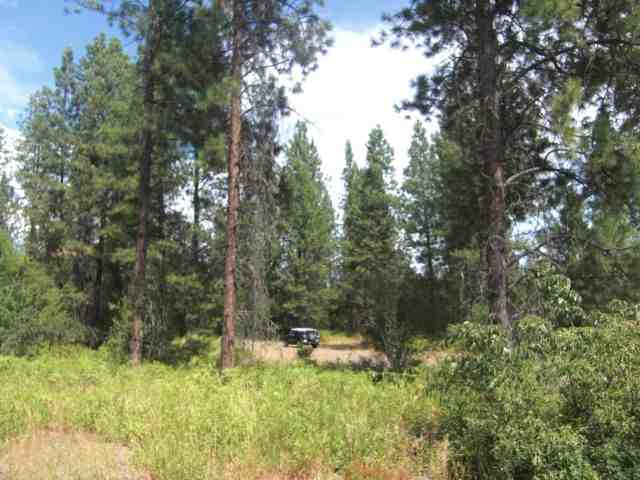 42 Cline Road Kettle Falls, WA 99141 - Photo 3 of 9