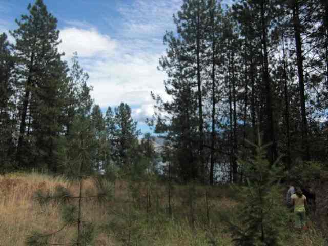 42 Cline Road Kettle Falls, WA 99141 - Photo 4 of 9