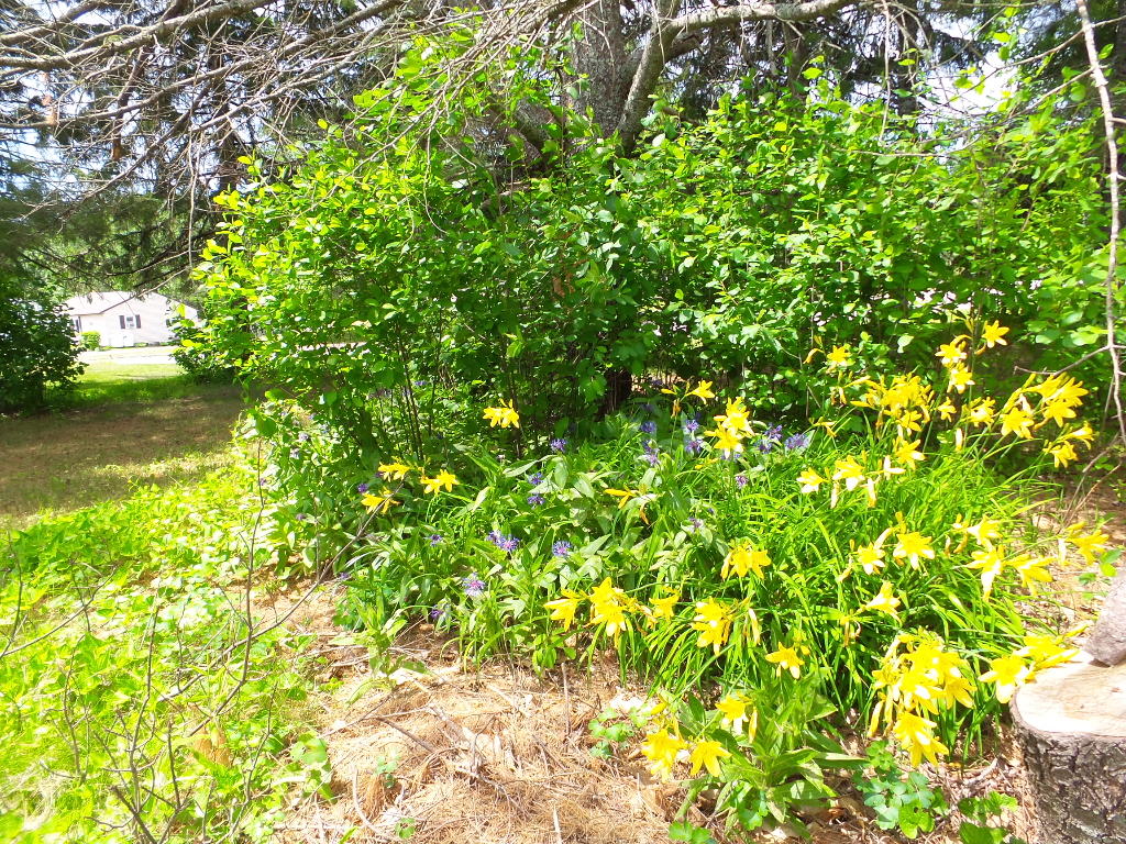 180 Burns Road Augusta, ME 04330 - Photo 27 of 28 Landscaping
