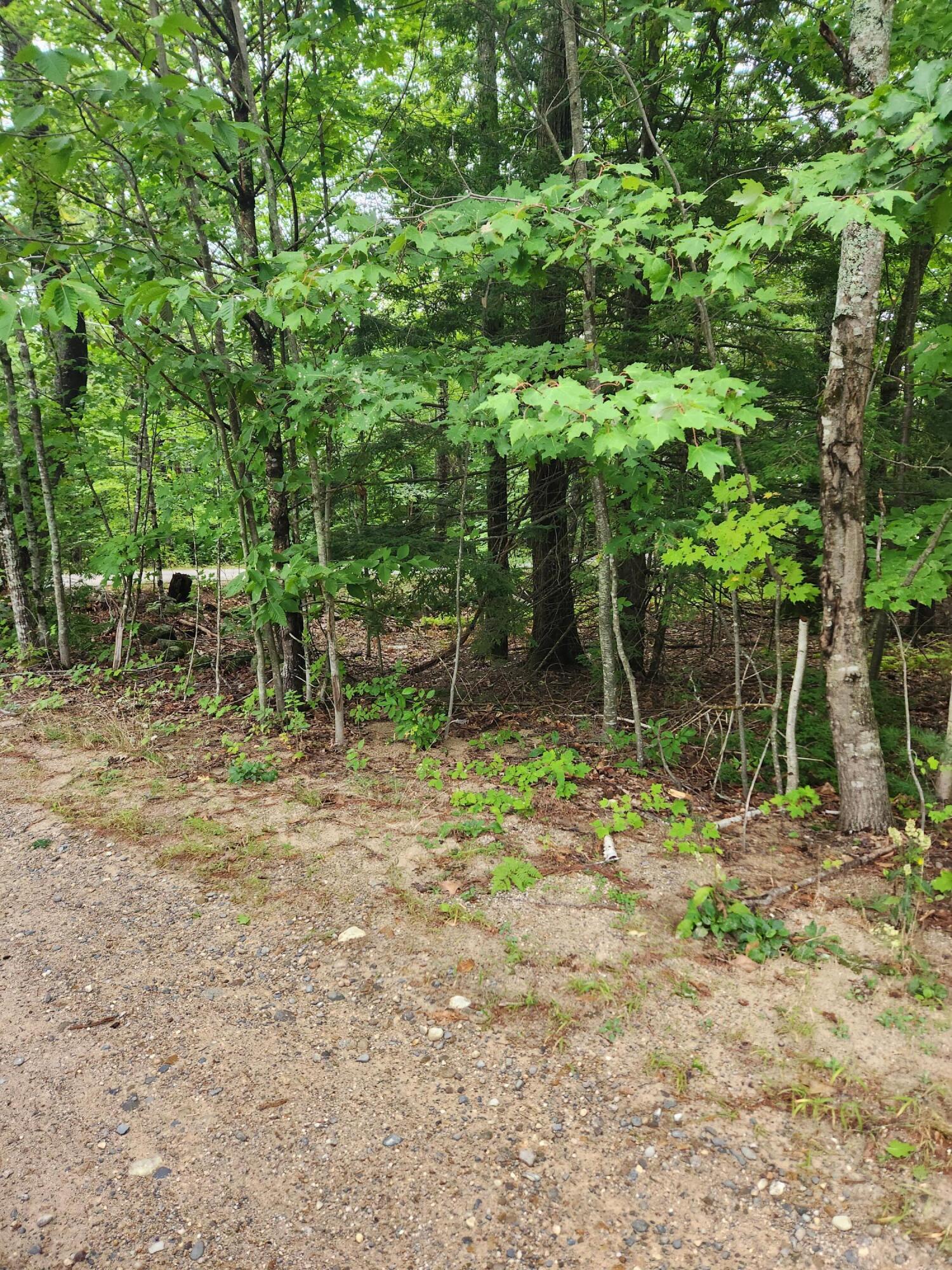 Lot # Coley Trafton Road Shapleigh, ME 04076 - Photo 1 of 8 coley 2