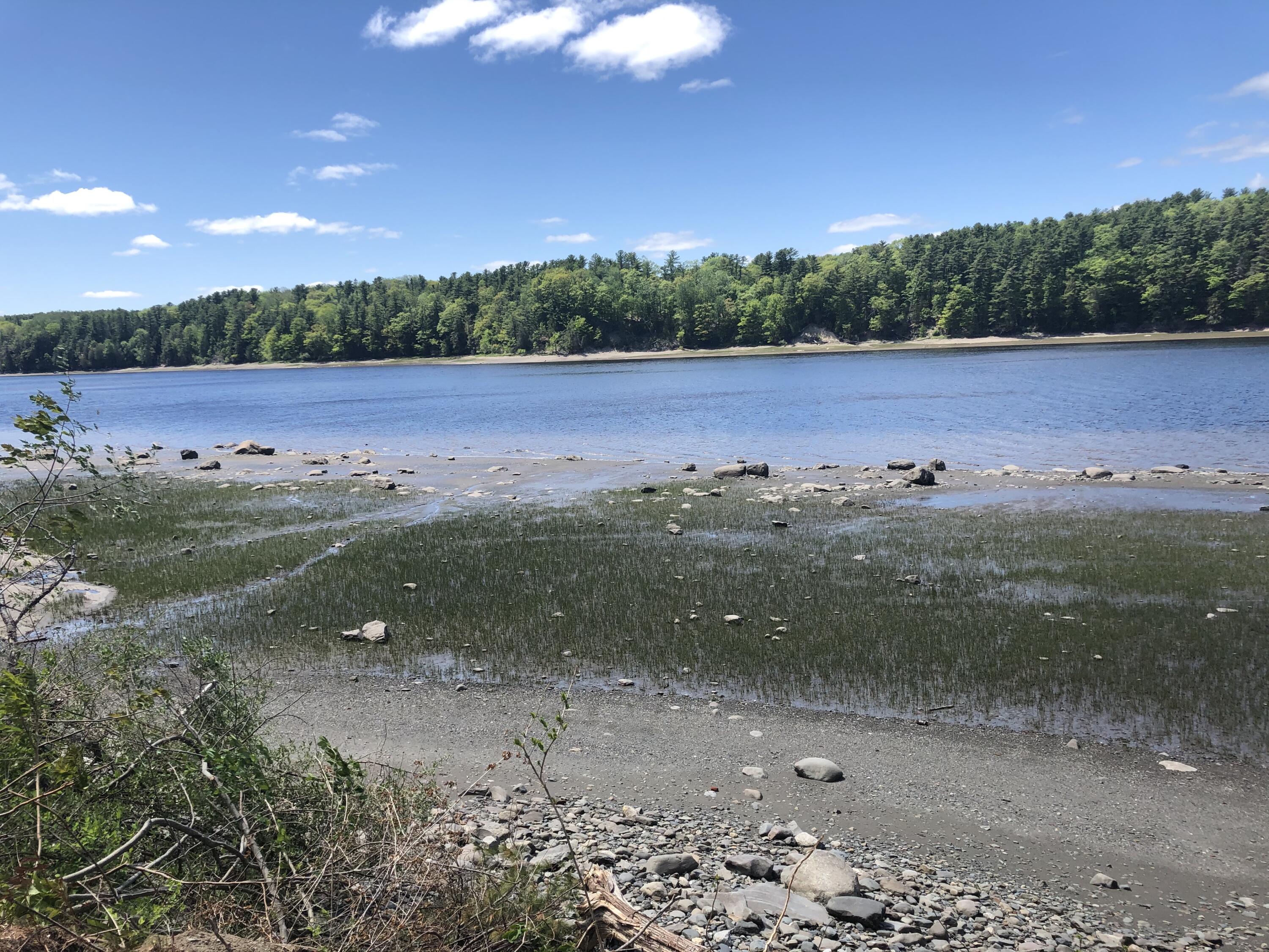 881 River Road Orrington, ME 04474 - Photo 45 of 50 riverplate
