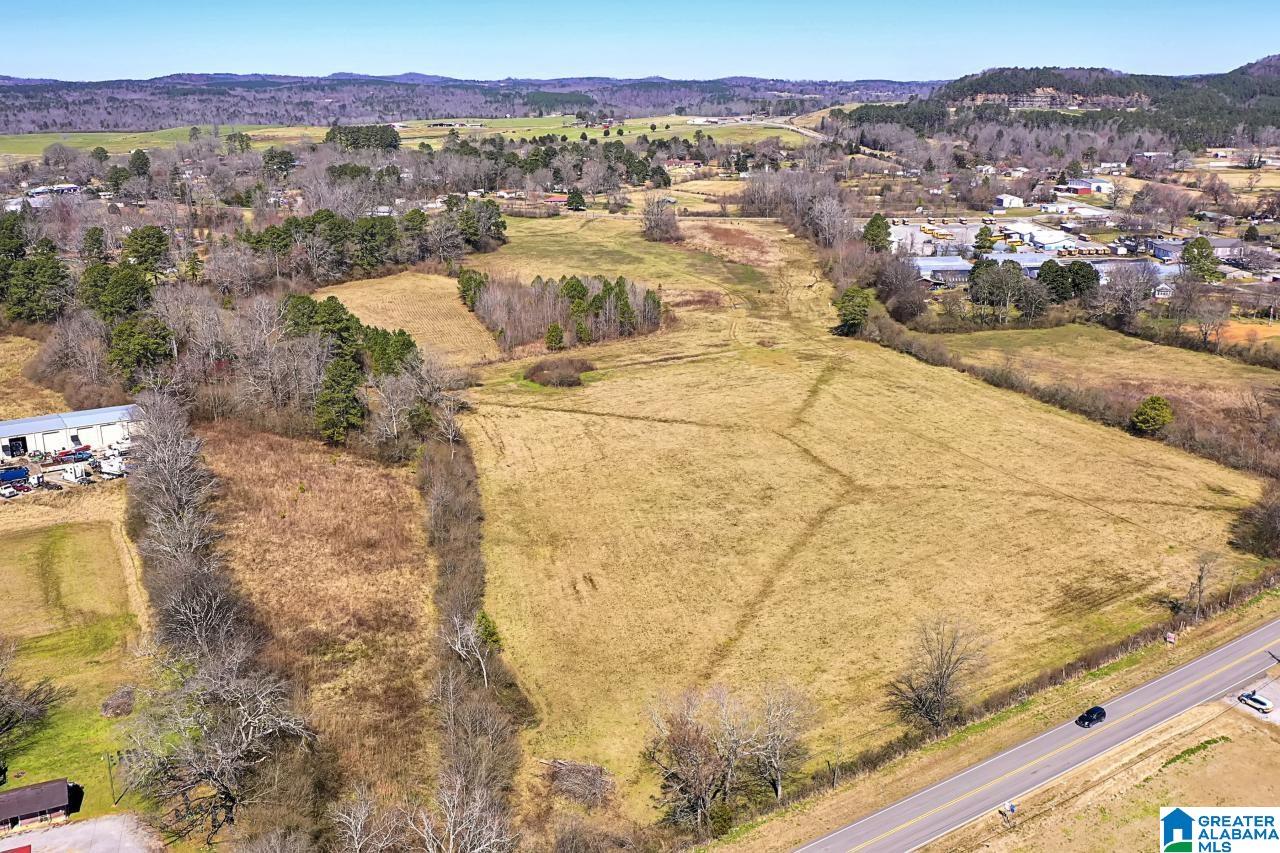 0 Highway 160 Cleveland, AL 35049 - Photo 1 of 8
