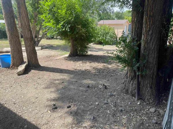 a view of a yard with plants and trees