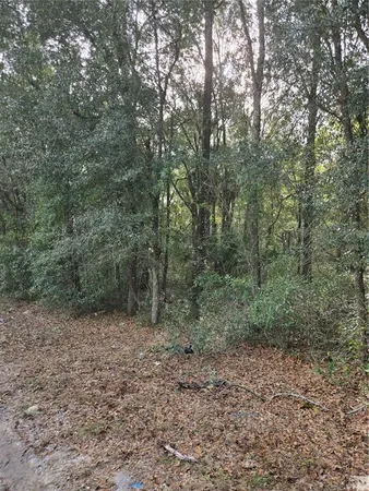 $20,000 | Northeast 163rd Place, Citra, FL 32113