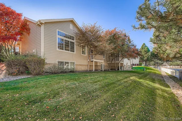 a view of a backyard with plants and large trees