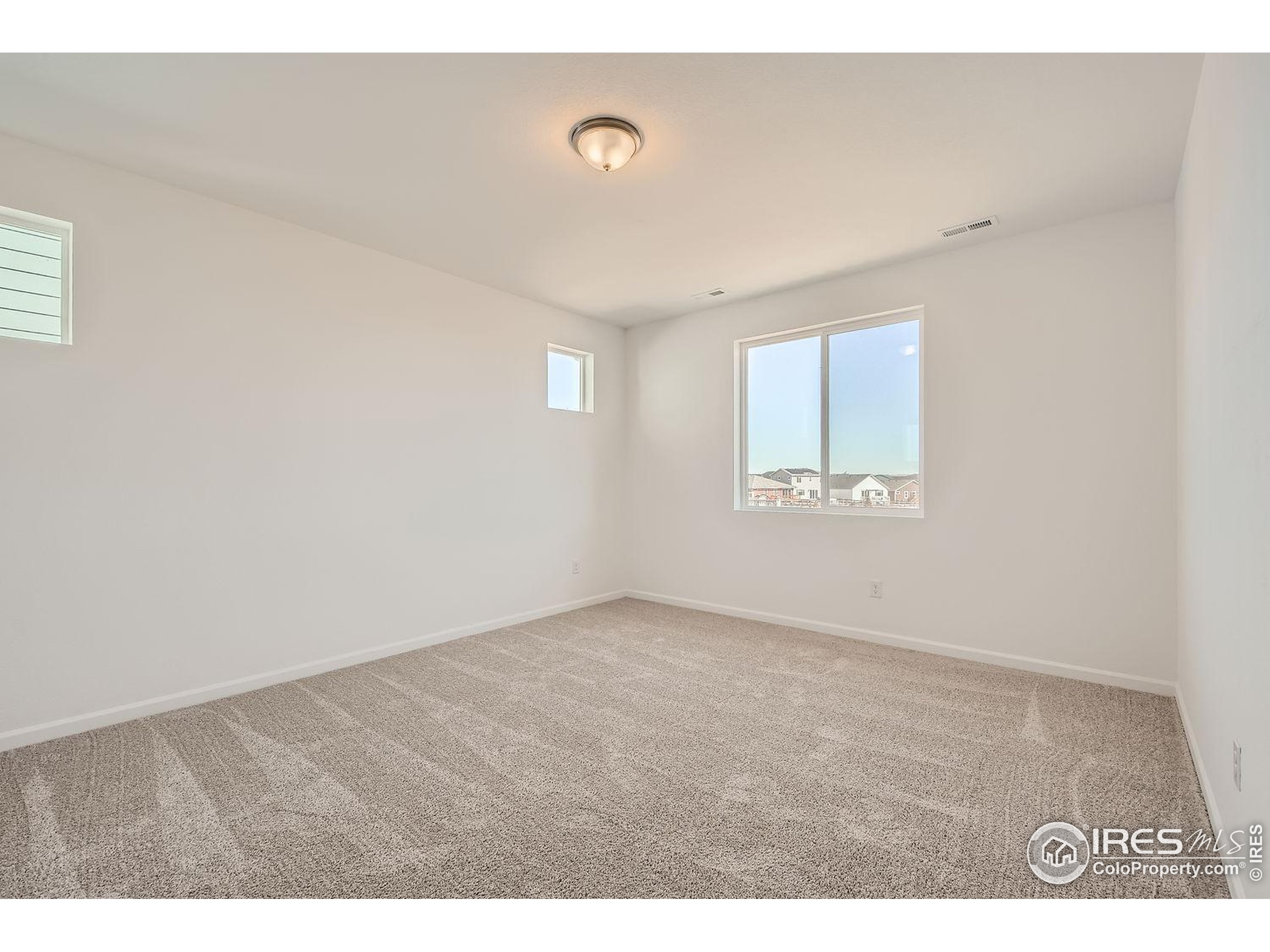 656 Noola Street Windsor, CO 80550 - Photo 11 of 19