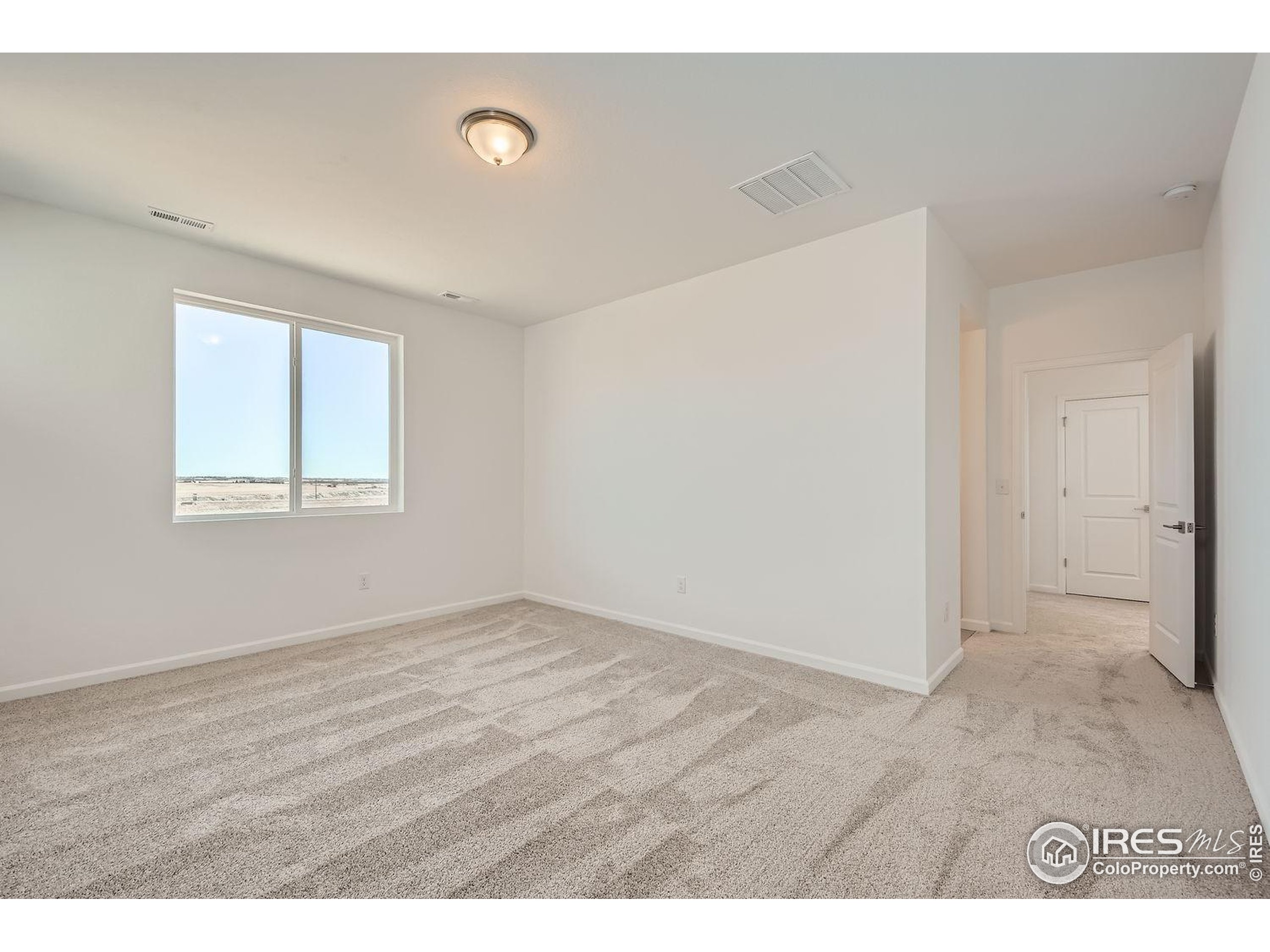 656 Noola Street Windsor, CO 80550 - Photo 12 of 19