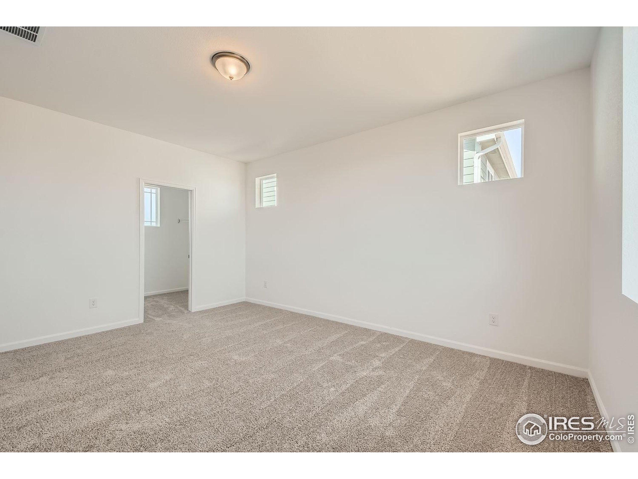 656 Noola Street Windsor, CO 80550 - Photo 13 of 19