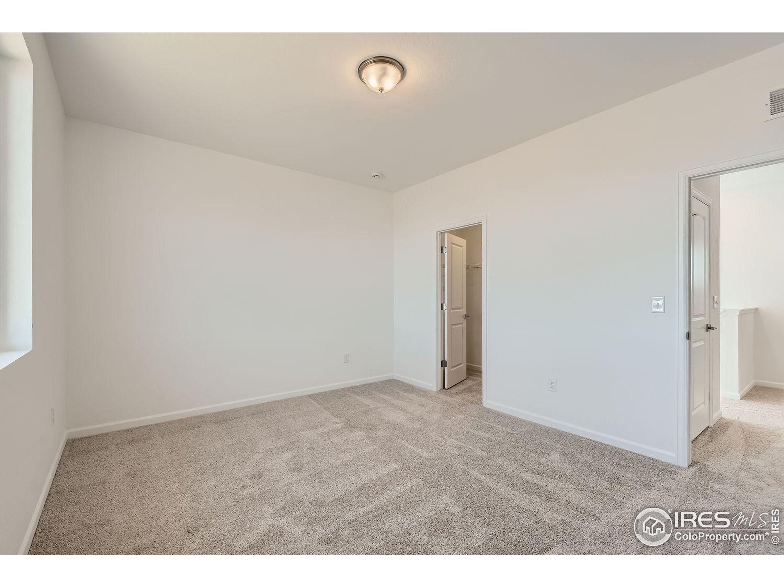 656 Noola Street Windsor, CO 80550 - Photo 16 of 19