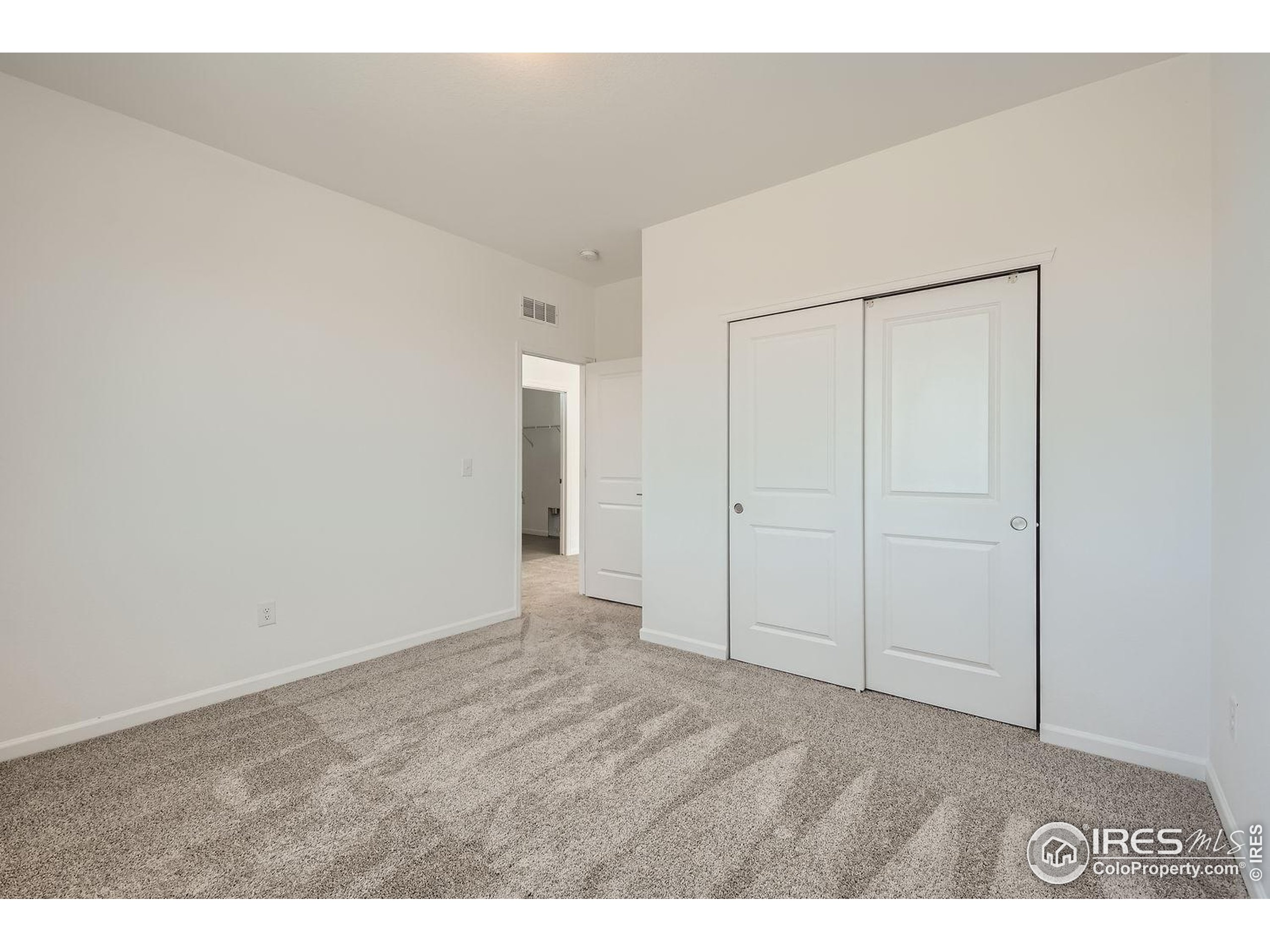 656 Noola Street Windsor, CO 80550 - Photo 17 of 19