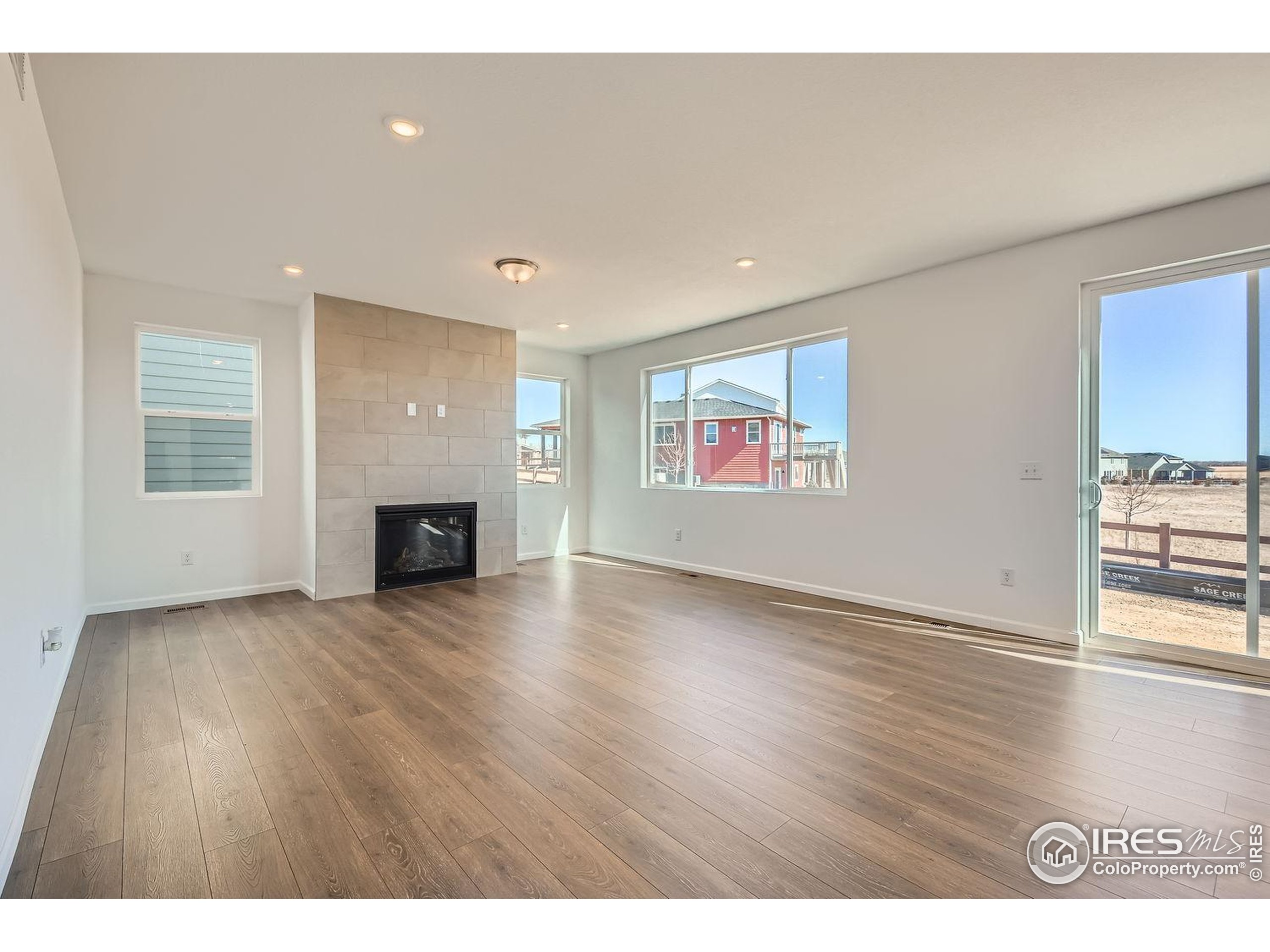 656 Noola Street Windsor, CO 80550 - Photo 5 of 19