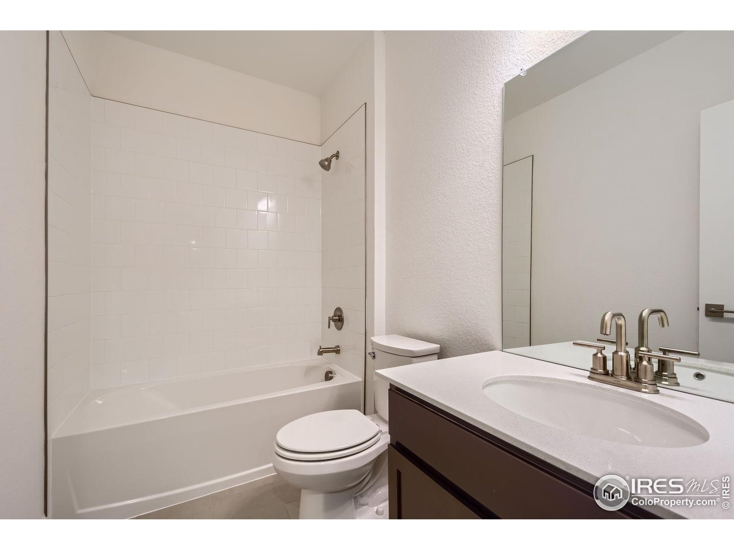 656 Noola Street Windsor, CO 80550 - Photo 10 of 19