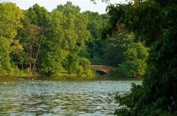 $449,000 | 44 Washington Street, Unit 605, Brookline, MA 02445