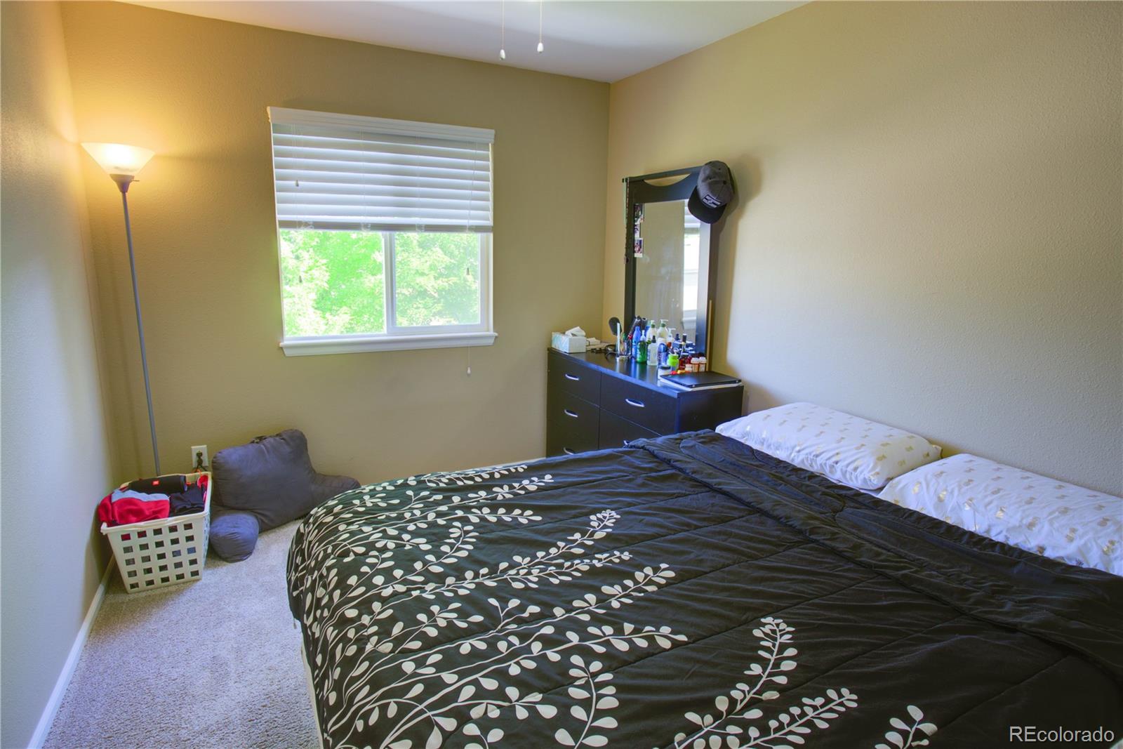 9765 Moss Rose Circle Highlands Ranch, CO 80129 - Photo 7 of 27