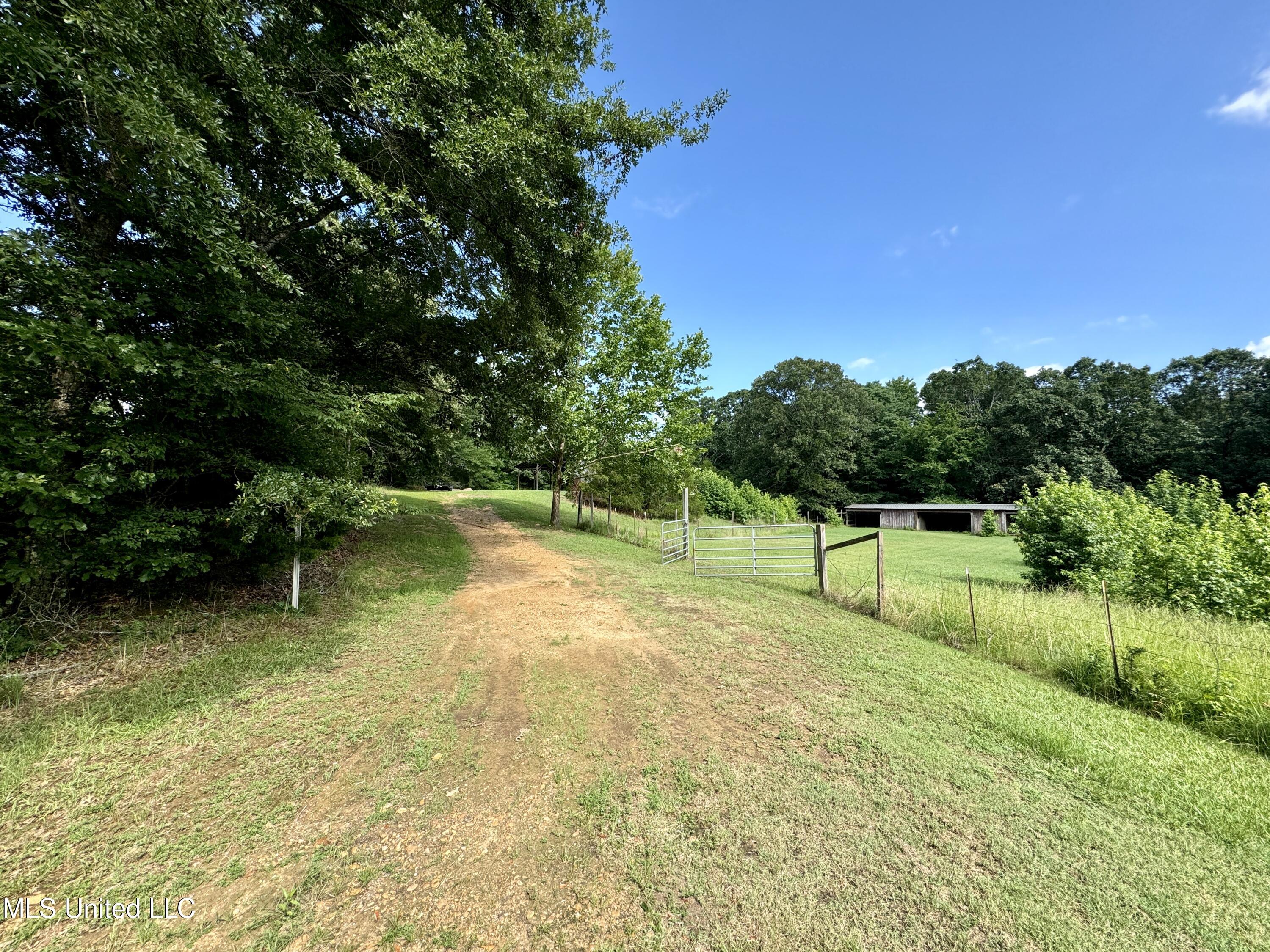 514 Proctor Road Grenada, MS 38901 - Photo 28 of 37 IMG_4684~photo-full