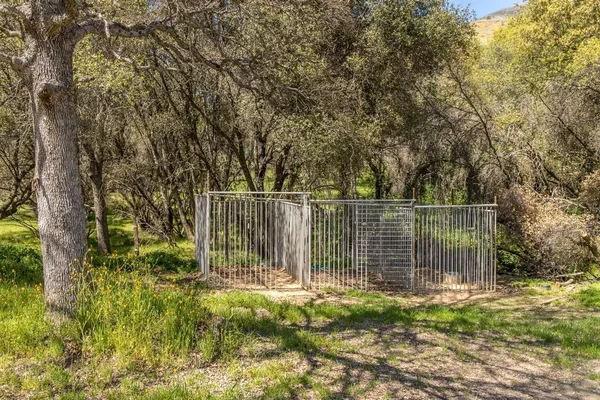 a garden view with iron fence