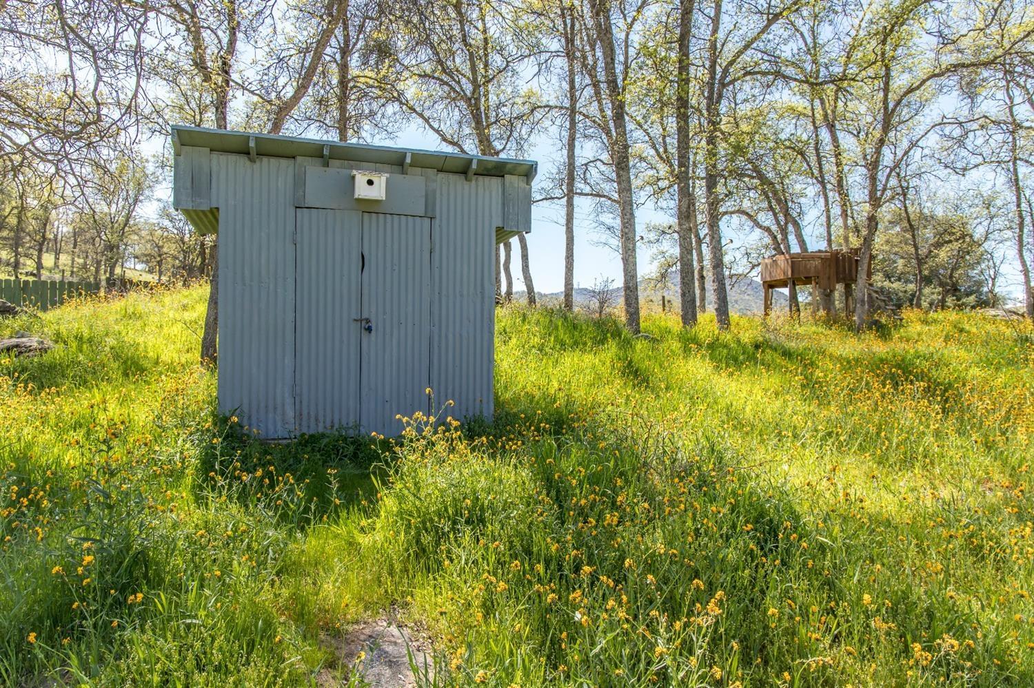 1321 Elwood Road Squaw Valley, CA 93675 - Photo 12 of 15