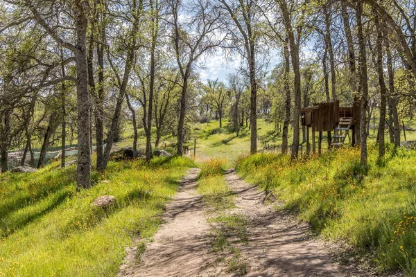 $345,000 | 1321 Elwood Road, Squaw Valley, CA 93675