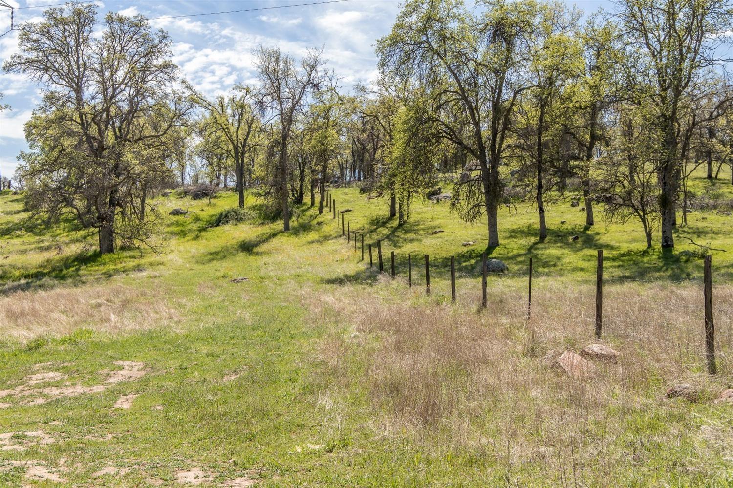 1321 Elwood Road Squaw Valley, CA 93675 - Photo 15 of 31