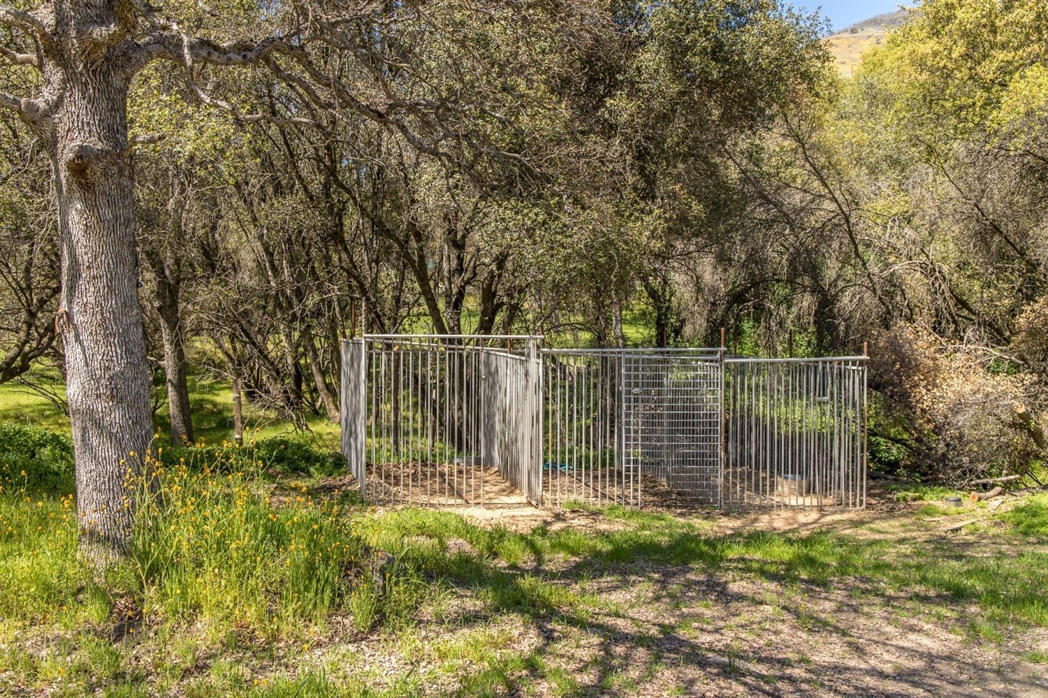 1321 Elwood Road Squaw Valley, CA 93675 - Photo 16 of 31 a garden view with iron fence