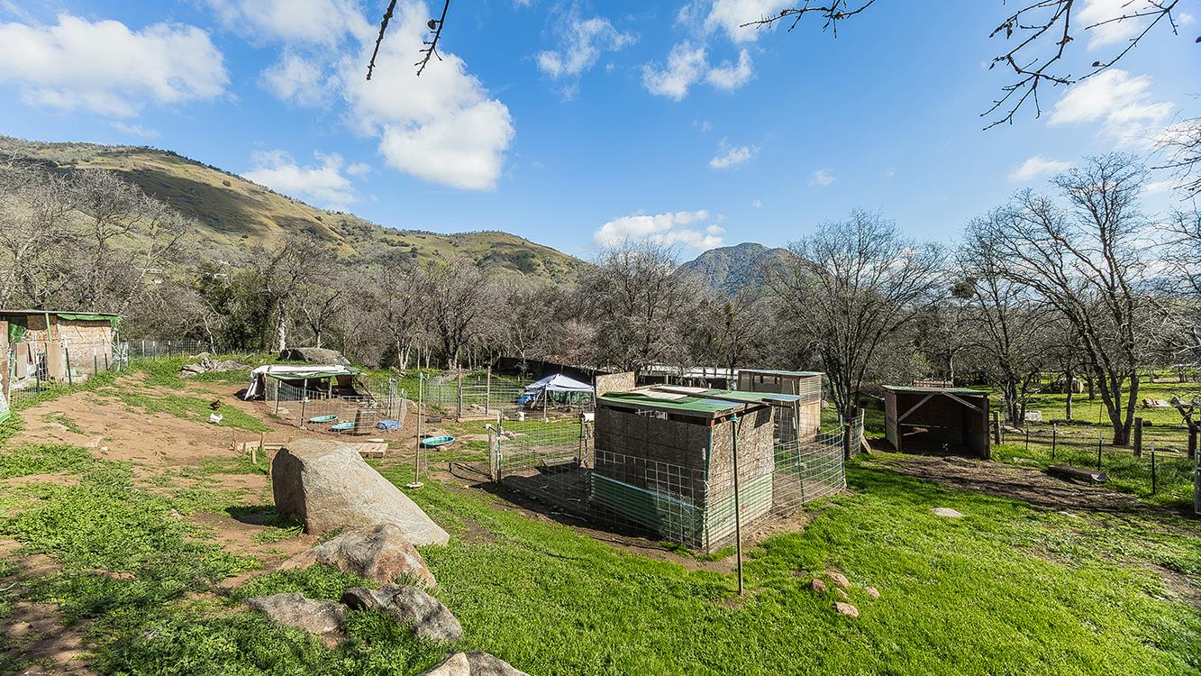 1321 Elwood Road Squaw Valley, CA 93675 - Photo 25 of 31 a view of a garden with lawn chairs