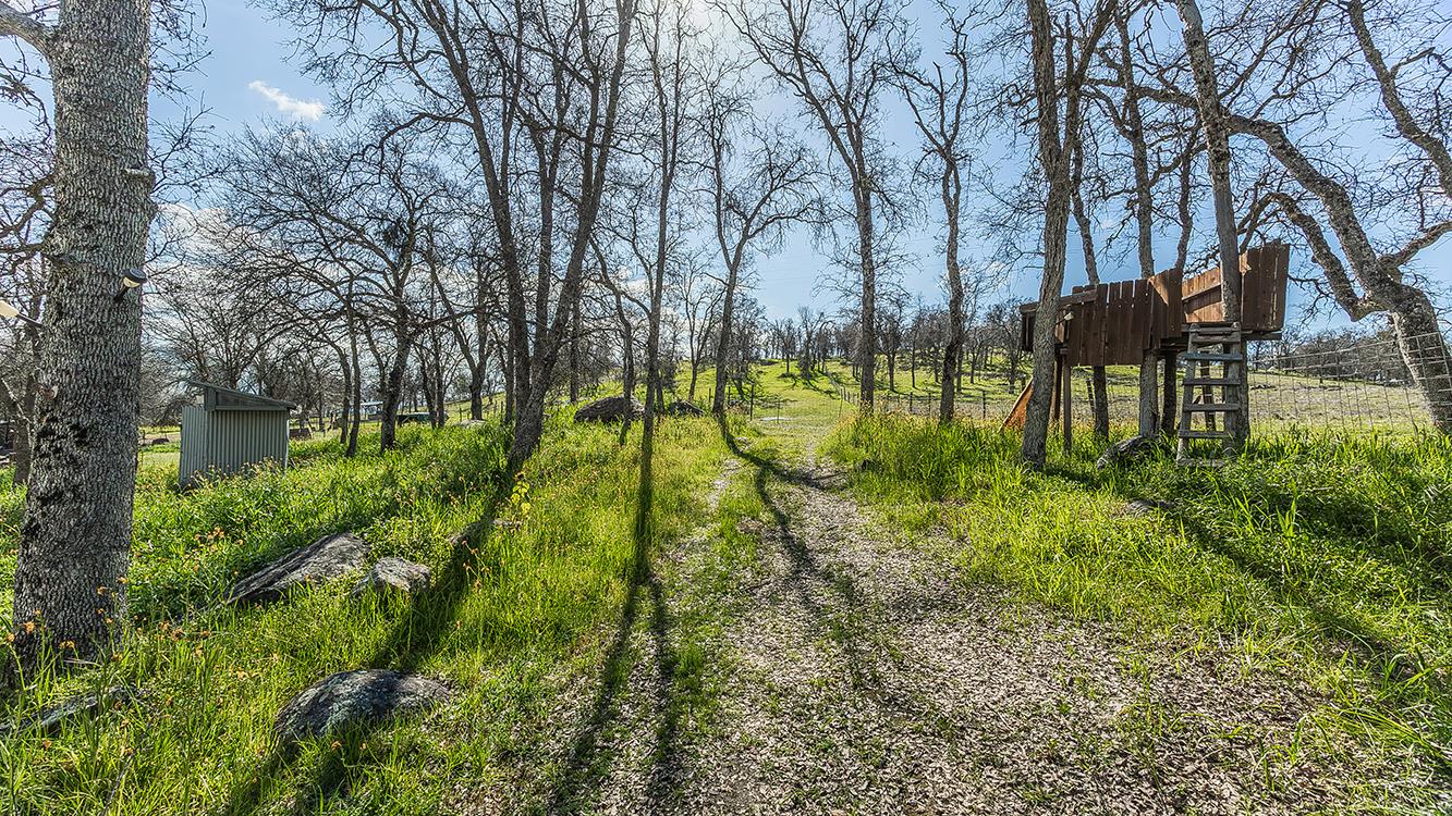 1321 Elwood Road Squaw Valley, CA 93675 - Photo 26 of 31 a view of yard with green space