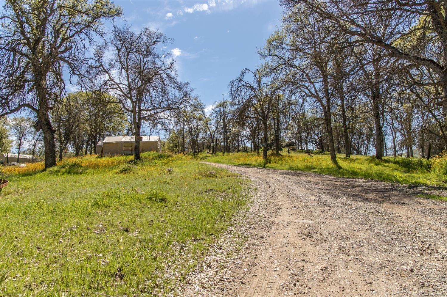 1321 Elwood Road Squaw Valley, CA 93675 - Photo 9 of 15