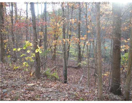 0 Stone Lick Road Gay, WV 25244 - Photo 1 of 8 Land.