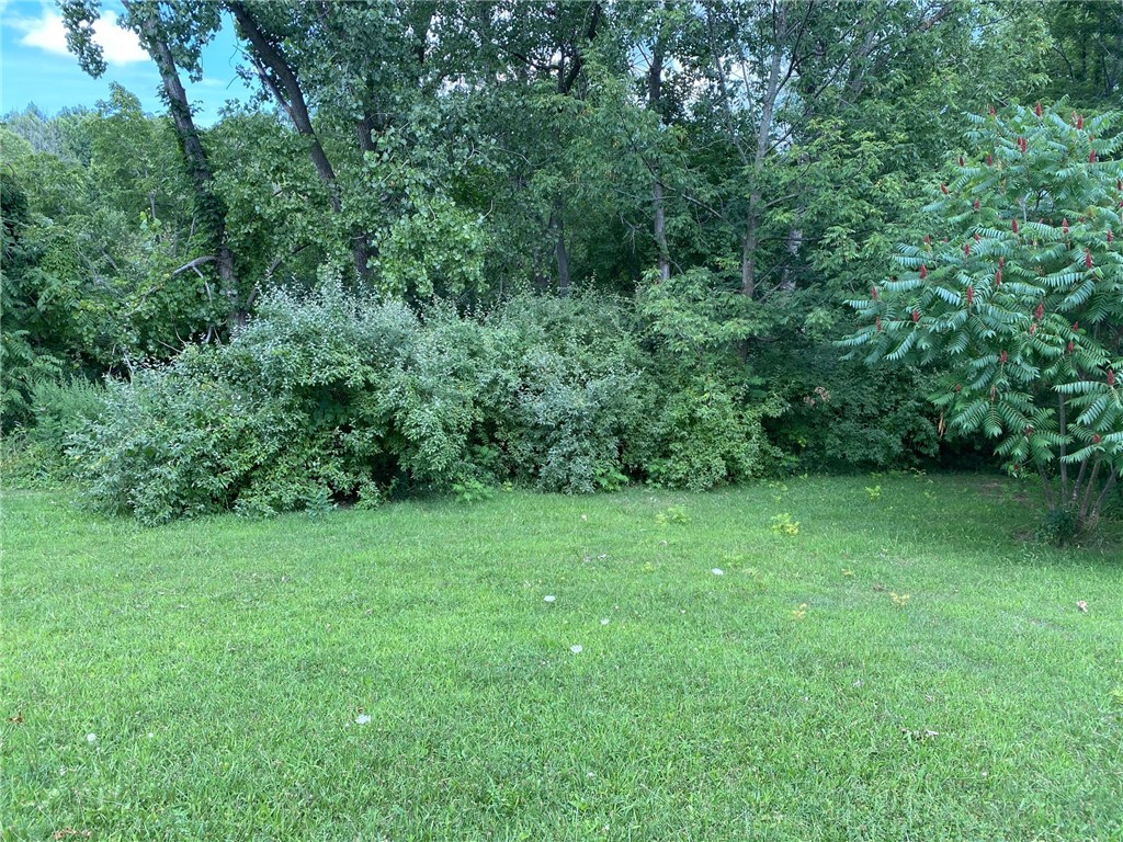 0 Pleasant Valley Road Lyons, NY 14489 - Photo 1 of 1 Gallery Image 1