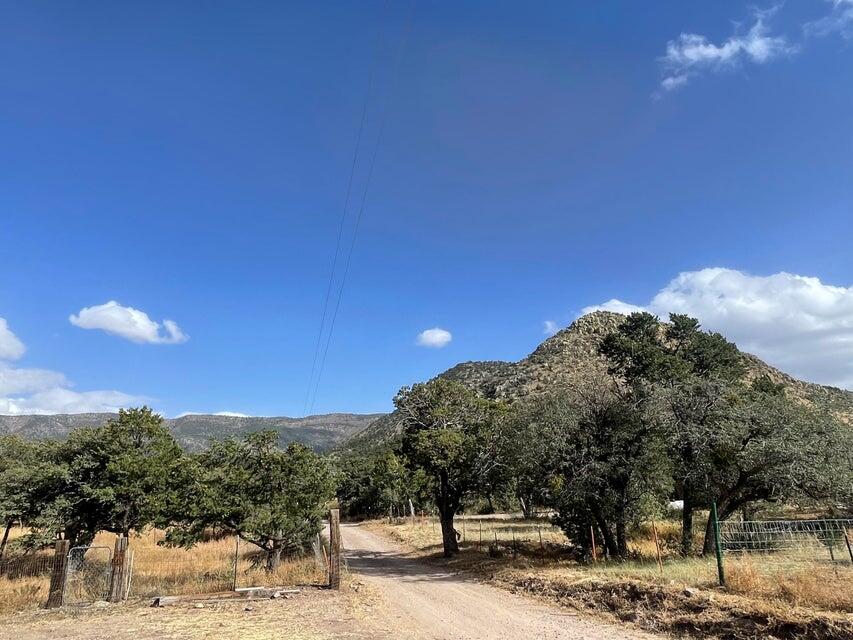 175 Hop Canyon Road Magdalena, NM 87825 - Photo 52 of 55 Gallery Image 52