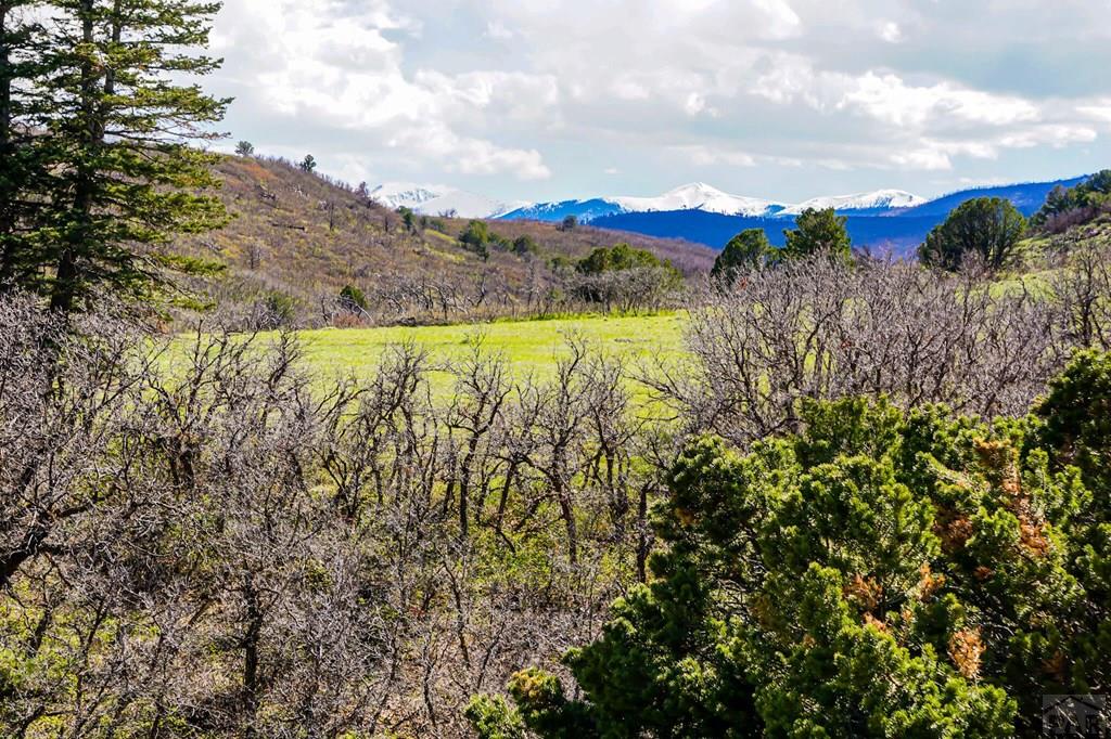 Tbd Tbd Rilling Canyon Road La Veta, CO 81055 - Photo 33 of 33