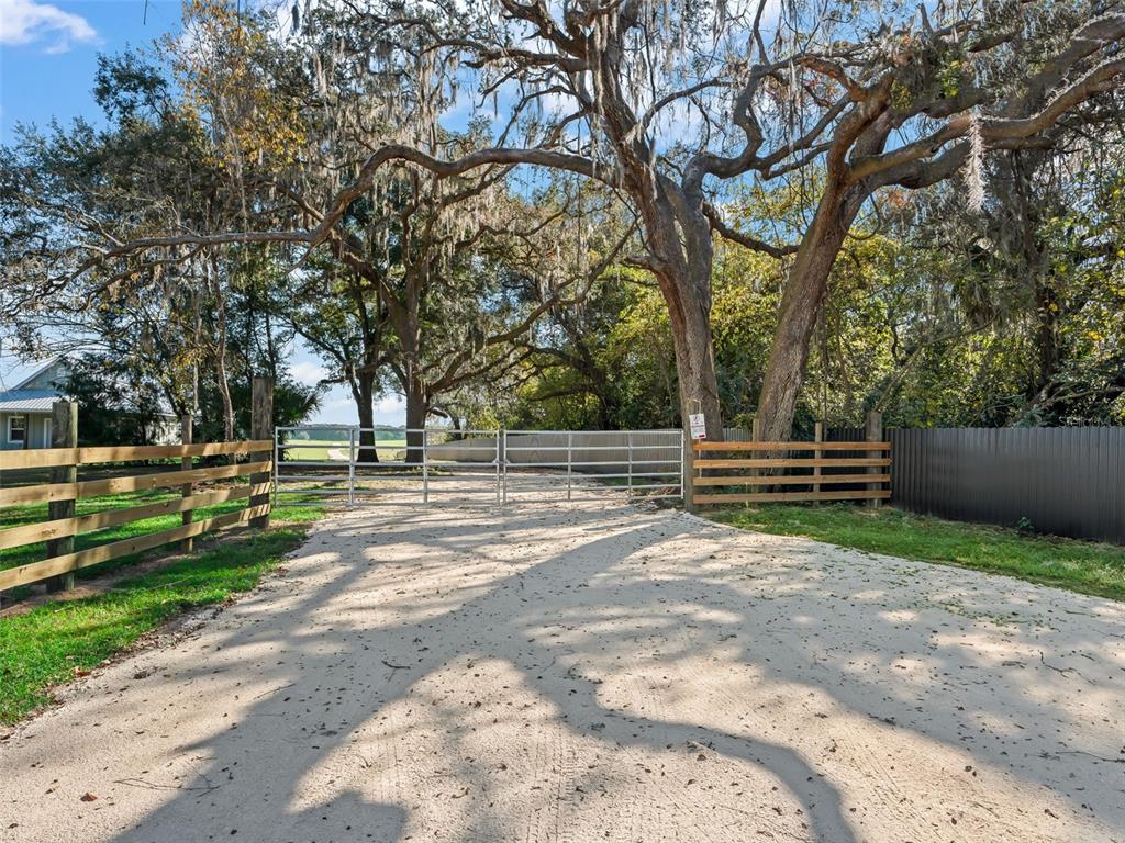 a view of backyard with green space
