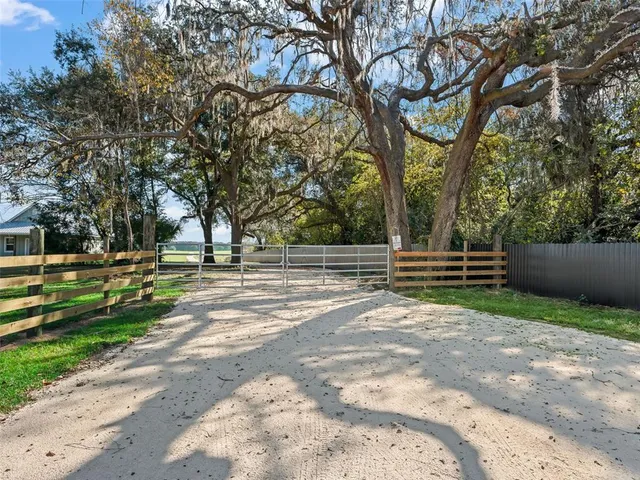 a view of backyard with green space