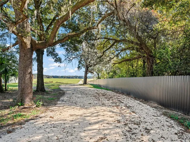 a view of a yard with tree s