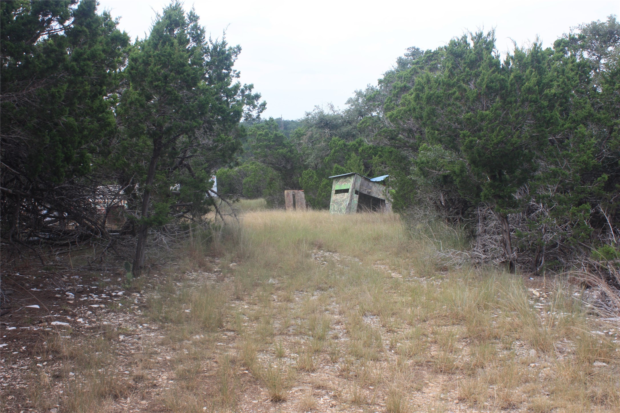 306 West Headwaters Ranch Road Kendalia, TX 78027 - Photo 4 of 9 Further down the entrance.