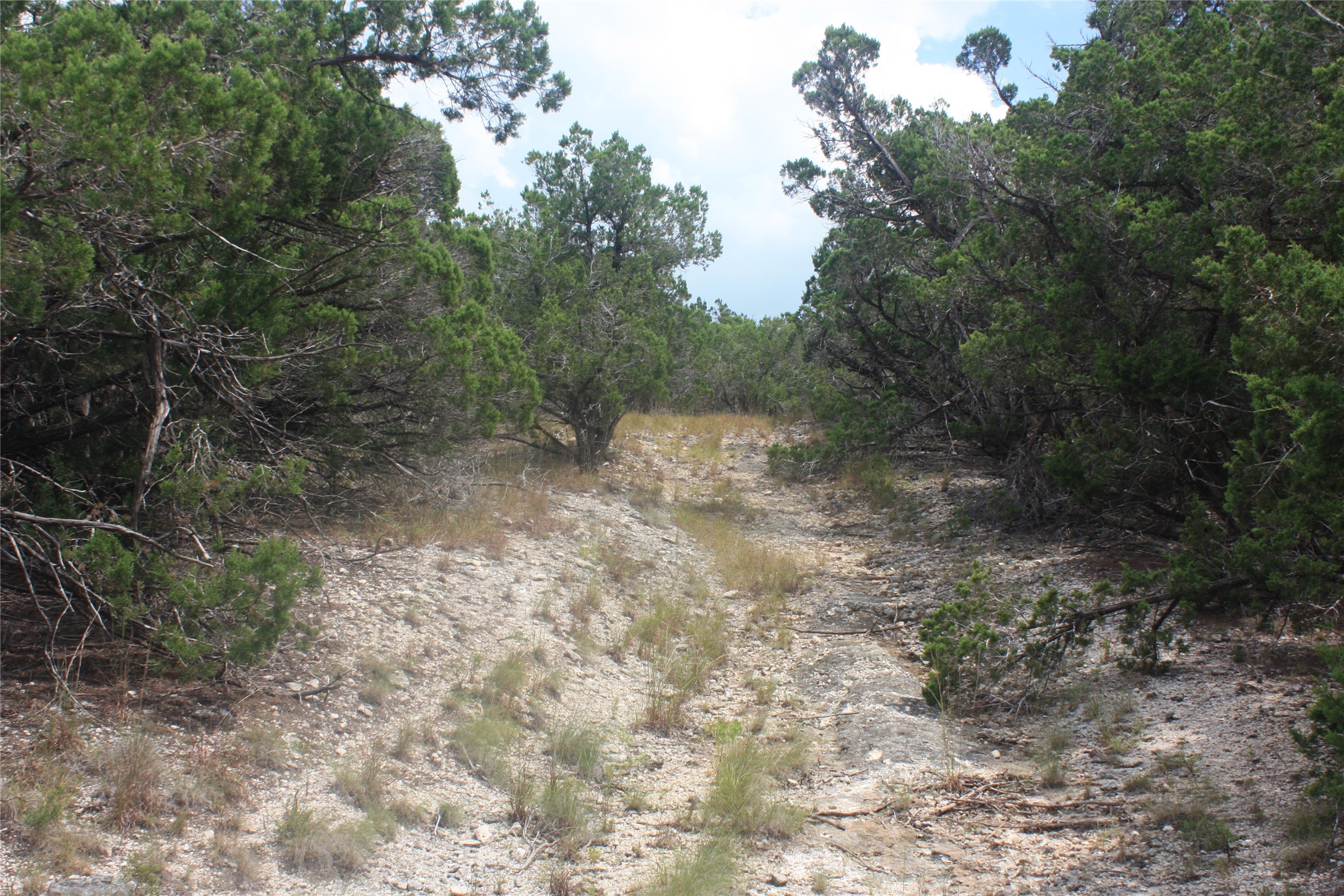 306 West Headwaters Ranch Road Kendalia, TX 78027 - Photo 5 of 9 Path to the deer feeders.